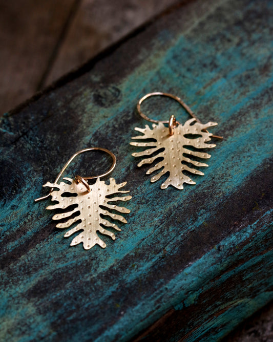 Brass Philodendron Leaf Earrings - Small