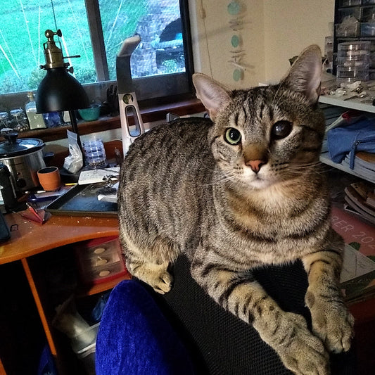 Supervising the New Jewelry