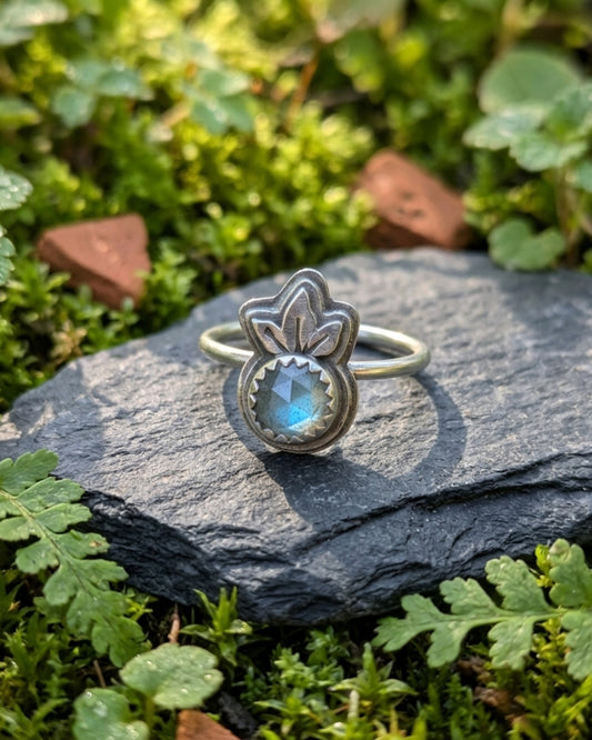 The Emergence Ring