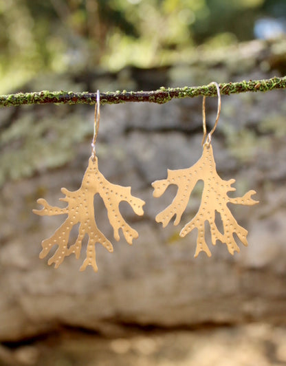 Brass Staghorn Leaf Earrings - Large