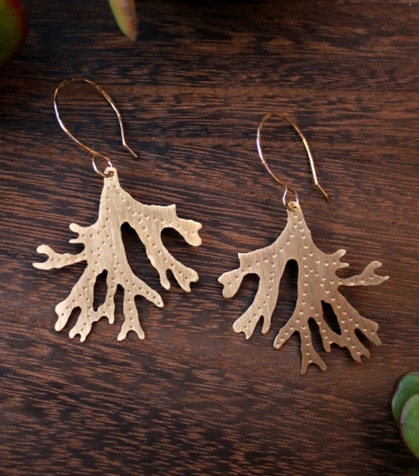 Brass Staghorn Leaf Earrings - Large
