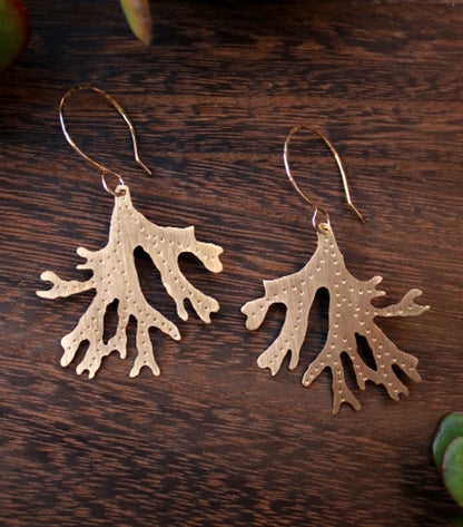 Brass Staghorn Leaf Earrings - Large