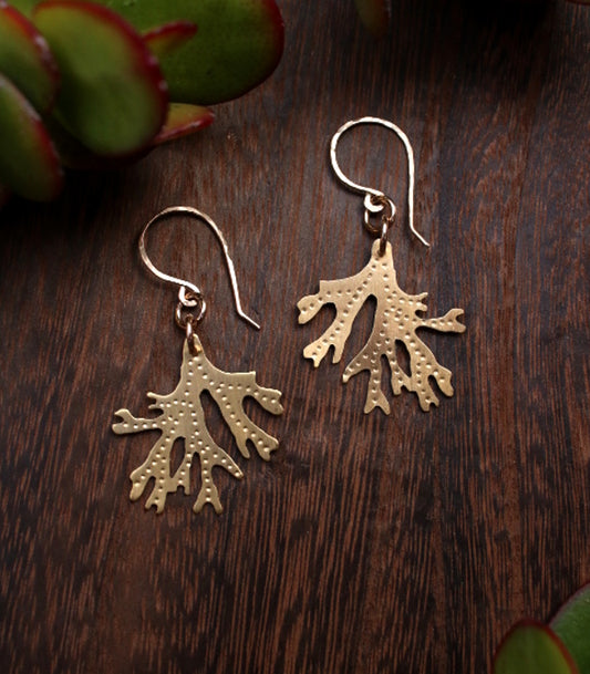 Brass Staghorn Leaf Earrings - Small